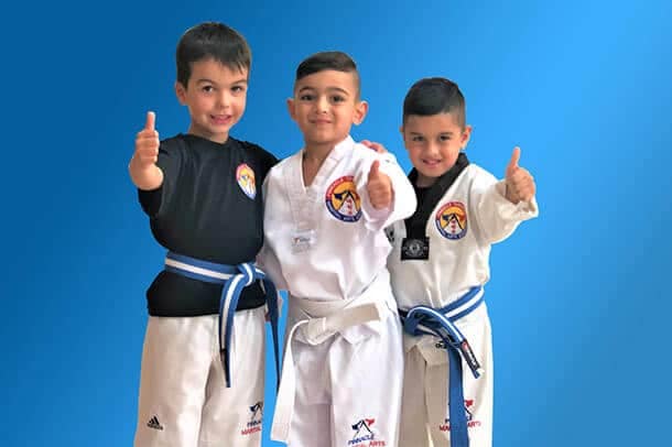 mini-ranger-kids Martial Arts in Marrickville Inner West Sydney