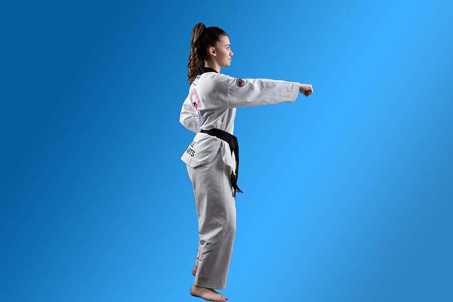 what-is-why-pinnacle Karate Martial Arts Taekwondo Kung Fu Martial Arts Self Defence and Martial Arts Fitness